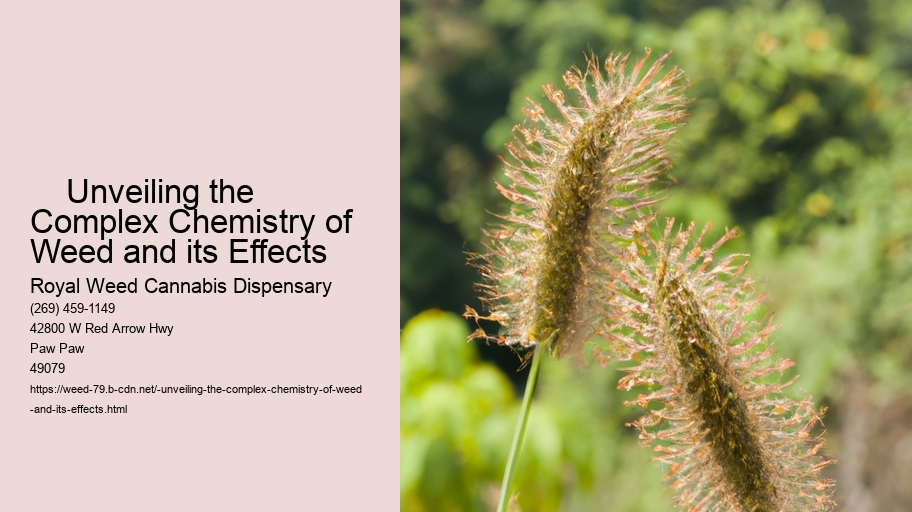     Unveiling the Complex Chemistry of Weed and its Effects
